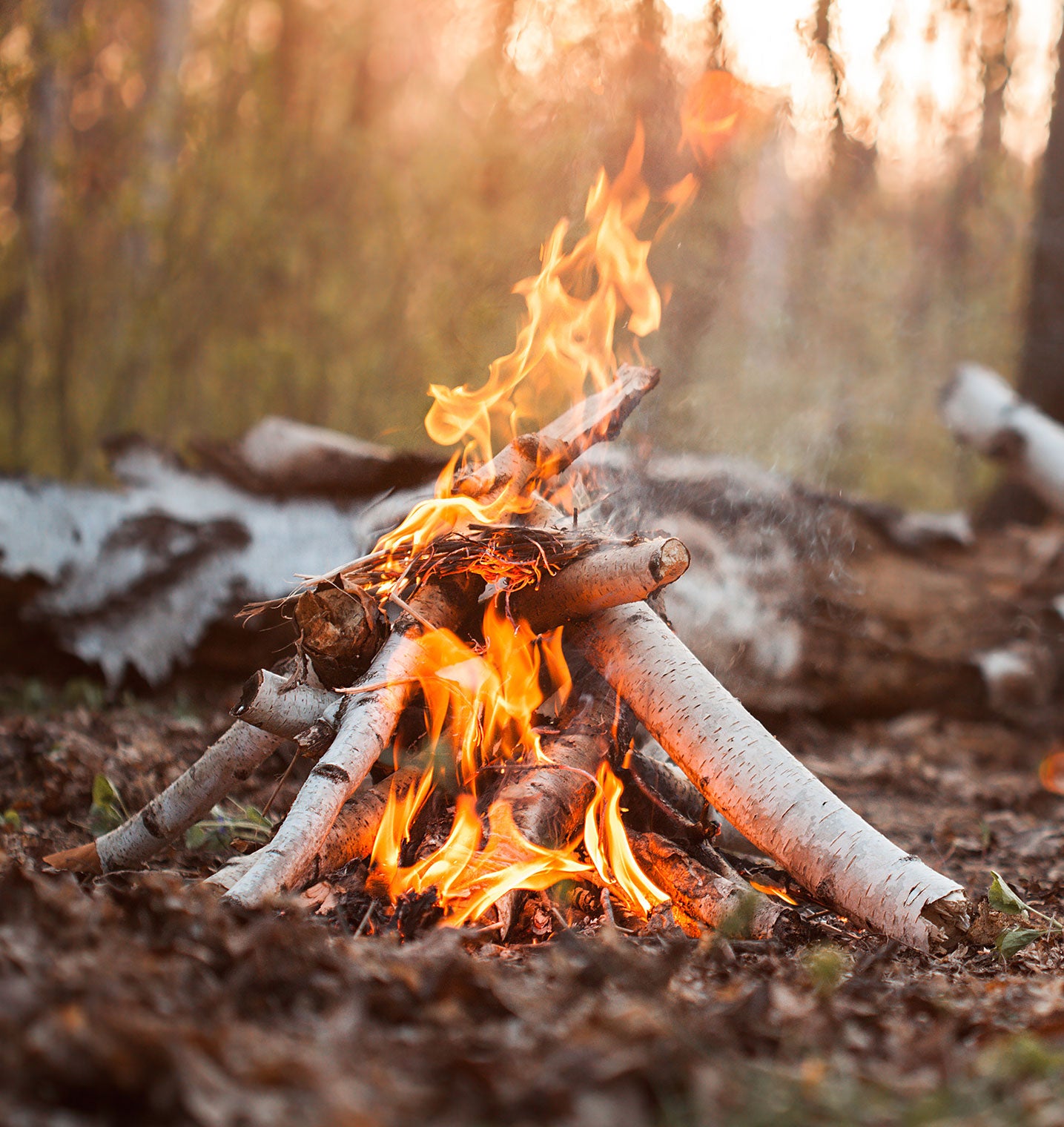 Gofire Ultimate All Purpose Fire Starters in a campfire