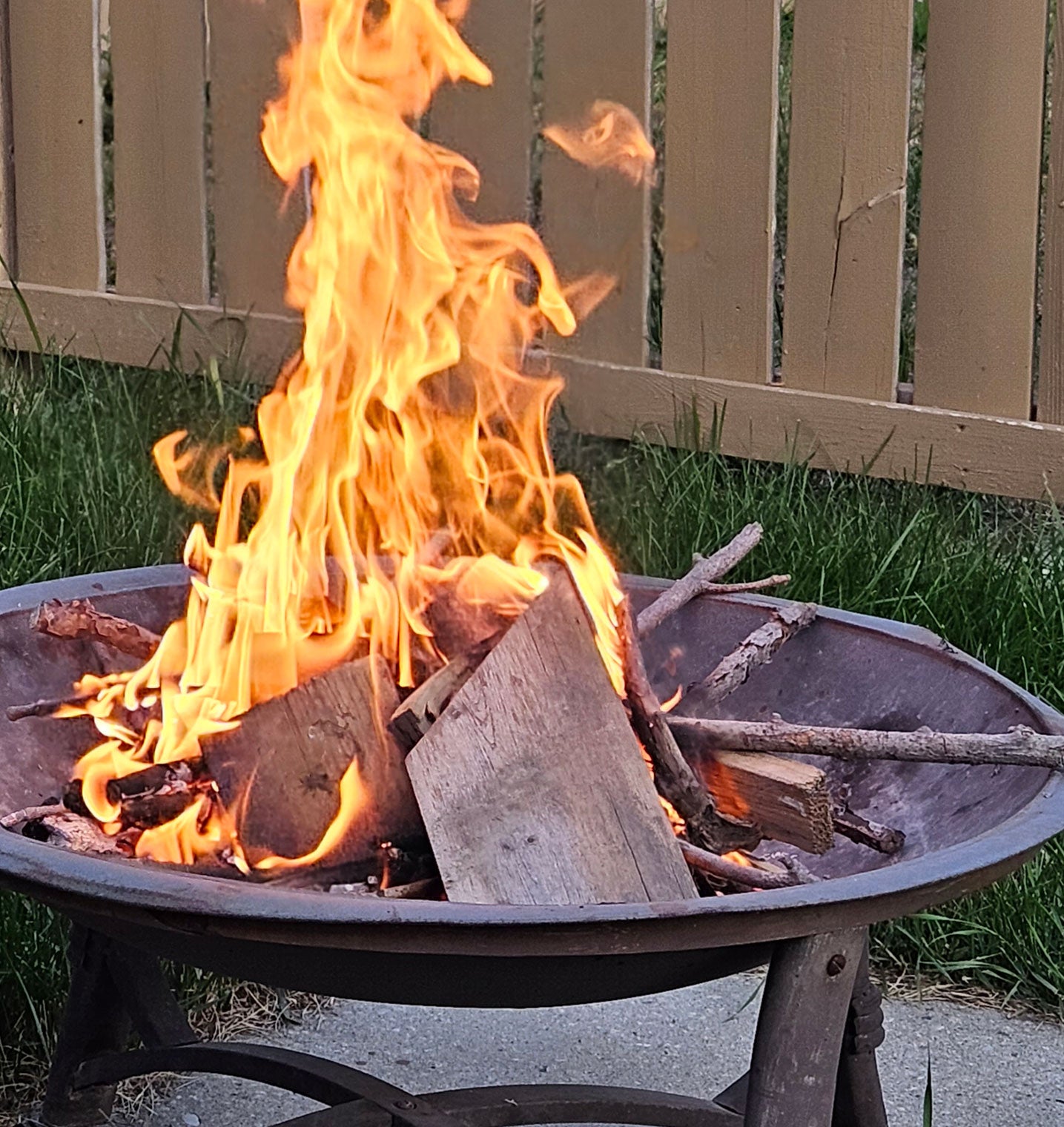 Gofire Ultimate All Purpose Fire Starters in a firepit