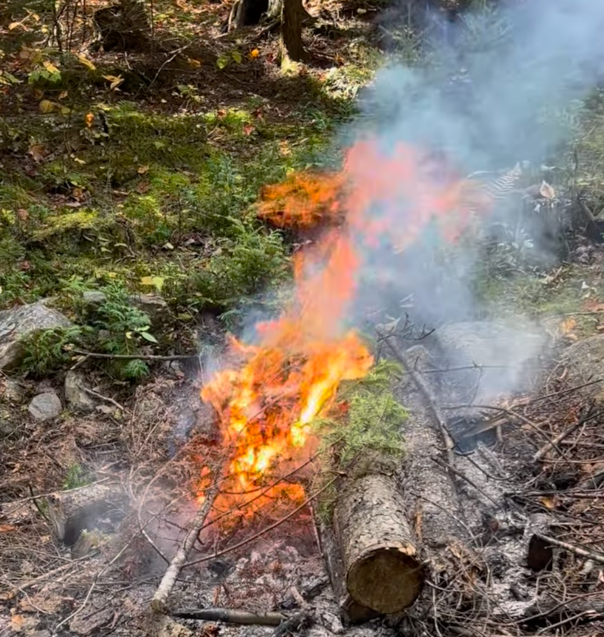 Spring Cover Fire The Gofire Guide to Spring Campsite Fires – Gofire - #1 Fire starters ...