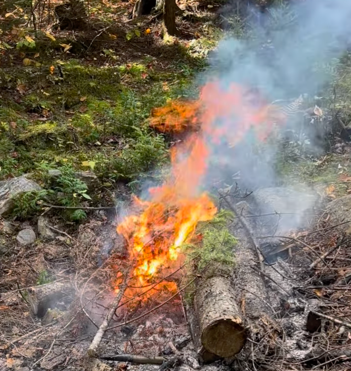 The Gofire Guide to Spring Campsite Fires